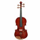 Violino 4/4 Giannini GVL com Estojo