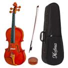 Violino Acústico Hofma 1/2 Infantil Ve 221 C/ Estojo Luxo