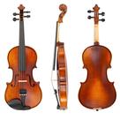 Violino Di Pietro Professionale SVM100 4/4
