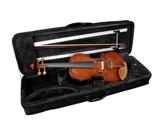 Violino giannini gvs 4/4 natural brilhante c/ case Violino giannini gvs 4/4 natural brilhante c/ case