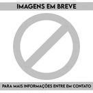 Virabrequim master 2.5 2005/2013