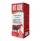 Vit Ade Calbos Injetável 200ml