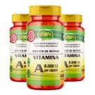 Vitamina A Retinol 60 cápsulas de 500mg Kit com 3