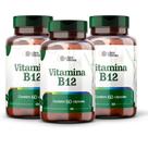 Vitamina B12 500mg Capsulas - Suporte para o Metabolismo Energetico e Imunidade- 3 potes Vitamina B12 500mg Capsulas - Suporte para o Metabolismo Energetico e Imunidade- 3 potes