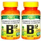 Vitamina B12 Cobalamina Vegana 60 cápsulas de 450mg Kit com 2