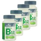 Vitamina B12 Max - 4 Frascos 60 cápsulas (Metilcobalamina) - Chamel