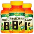 Vitamina B2 Riboflavina Vegana 60 caps de 500mg Kit com 3 Vitamina B2 Riboflavina Vegana 60 caps de 500mg Kit com 3