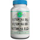 Vitamina B6 100Mg + Vitamina B9 10Mg + Vitamina B12 1.000Mcg - 120 Cápsulas