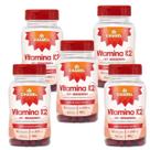 Vitamina K2 MK7 Menaquinona - 5 Frascos de 60 cápsulas de 500 mg Chamel