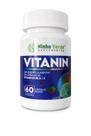 Vitanin Vitaminas de A a Z 500mg 60 Cápsulas Ninho Verde