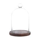 Vitrine com cúpula de vidro REFSAVER para plantas e itens colecionáveis