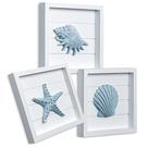 Wall Art TideandTales Blue Seashells and Starfish, conjunto de 3 Wall Art TideandTales Blue Seashells and Starfish, conjunto de 3