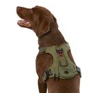 Waste Bag Harness KONG Ultra Durable para cães, verde médio Waste Bag Harness KONG Ultra Durable para cães, verde médio