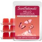 Wax Melts Scentsationals Hello Gorgeous Scent 300 ml (24 cubos)