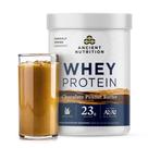 Whey Protein Ancient Nutrition, chocolate, manteiga de amendoim, 18 porções