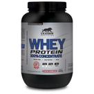 Whey Protein Concentrado WHEY PROTEIN 100 CONCENTRATE - Leader Nutrition - 900grs Whey Protein Concentrado WHEY PROTEIN 100 CONCENTRATE - Leader Nutrition - 900grs
