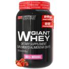 Whey Protein Giant Whey 900g Bodybuilders