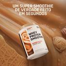 Whey Protein Smoothie - Pote - 900g - Dux Human health