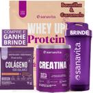 Whey Protein UP SANAVITA 3W Isolado Concentrado Hidrolisado + Creatina Monohidratada 100g + Coqueteleira - Kit Suplemento de Proteína