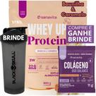 Whey Protein UP SANAVITA 3W Isolado Concentrado Hidrolisado e COQUETELEIRA Suplemento de Proteína com BCAA