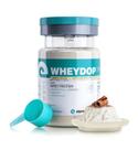 WheyDop 3W (900g) - Sabor: Arroz Doce WheyDop 3W (900g) - Sabor: Arroz Doce