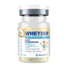 Wheydop X Whey Sabor Leite Condensado 900g Elemento Puro