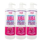 Widi Care Encrespando a Juba Kit 3 Creme de Pentear 1L