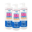 Widi Care Higienizando A Juba Kit 3 Shampoo 1L Widi Care Higienizando A Juba Kit 3 Shampoo 1L