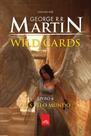 Wild cards - ases pelo mundo - vol. 4 - LEYA BRASIL