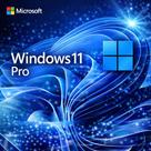 WINDOWS 11 Professional 1 PC Versão 25H2