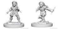 WizKids Dungeons & Dragons Halfling Female Rogue em miniatura de Nolzur WizKids Dungeons & Dragons Halfling Female Rogue em miniatura de Nolzur