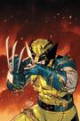 Wolverine (2025) 06