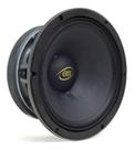 Woofer 10 Eros E-310 H 300 Watts RMS - 8 Ohms