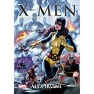 X men dias de um futuro slim brochura 14x21