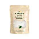 X Roots Leite de Coco em Pó Premium 1kg Ingrediente Natural, Fonte de Nutrientes e Versátil X Roots Leite de Coco em Pó Premium 1kg Ingrediente Natural, Fonte de Nutrientes e Versátil