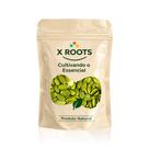 X Roots Semente de Abóbora Sem Casca 1kg Crua, Sem Sal, Importada e Rica em Fibras X Roots Semente de Abóbora Sem Casca 1kg Crua, Sem Sal, Importada e Rica em Fibras