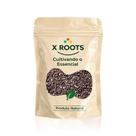 X Roots Semente de Chia Premium Importada 500g Fonte de Ômega 3, Fibras e Proteínas X Roots Semente de Chia Premium Importada 500g Fonte de Ômega 3, Fibras e Proteínas