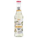 Xarope Cocktail Açúcar de Cana Monin Experience 330ml
