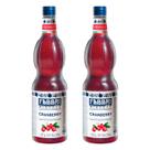 Xarope de Cranberry Fabbri Mixybar Cranberry 1l 2 Unidades