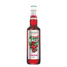 Xarope de Cranberry Kaly Zero Açúcar 700ml
