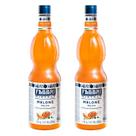 Xarope de Melão Fabbri Mixybar Melone 1l 2 Unidades