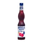Xarope Fabbri Sabores 560ml