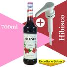 Xarope Monin para drinks + bomba dosadora