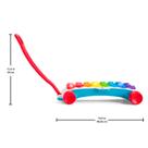 Xilofone Gigante com Luz e Som Fisher-Price HJK34 - Mattel