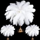 XunYee 60 plumas grandes de avestruz blancas 45-50 cm