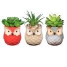 Yardwe, 3 peças, simulação de vaso de plantas suculentas art