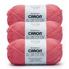 Yarn Caron Algodão All Day 100% algodão mercerizado 158m 100g