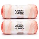 Yarn Caron Jumbo Ombre Salmon, pacote com 2, 680 g de acrílico