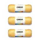 Yarn Caron Simply Soft Medium, pacote com 3, 510 g de acrílico