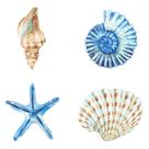 Yookeer, 4 peças, decoração de parede de praia, Seashell Starfish Art